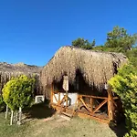 Pine & Luxury Concept Hotel