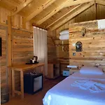 Hotel Pine & Luxury Concept