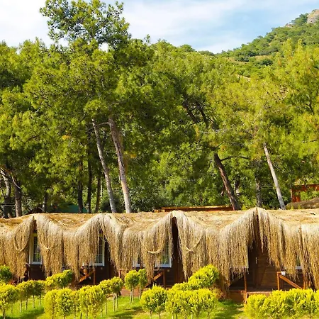 Pine & Luxury Concept * 厄吕代尼兹