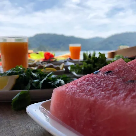 Pine & Luxury Concept 酒店 *