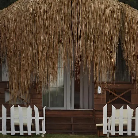 酒店 Pine & Luxury Concept