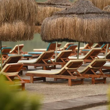 Pine & Luxury Concept * 厄吕代尼兹