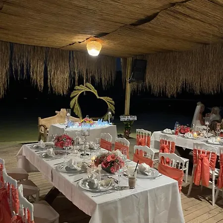 Pine & Luxury Concept