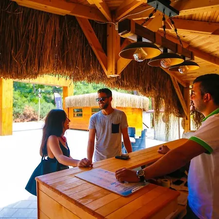 Pine & Luxury Concept