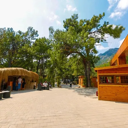 Pine & Luxury Concept 酒店 *