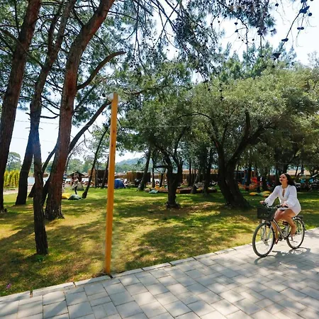 酒店 Pine & Luxury Concept