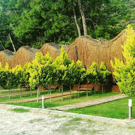 Otel Pine & Luxury Concept *