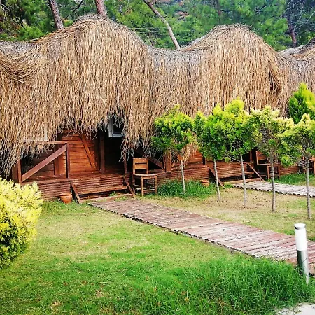 Otel Pine & Luxury Concept Ölüdeniz