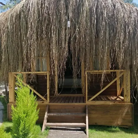 Pine & Luxury Concept * Ölüdeniz