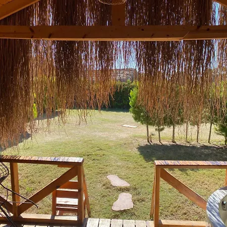 Pine & Luxury Concept * 厄吕代尼兹