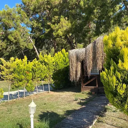 Otel Pine & Luxury Concept Ölüdeniz