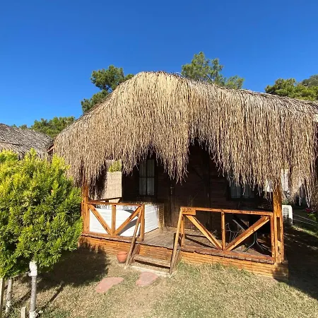 Pine & Luxury Concept Ölüdeniz