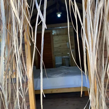 Pine & Luxury Concept Otel Ölüdeniz