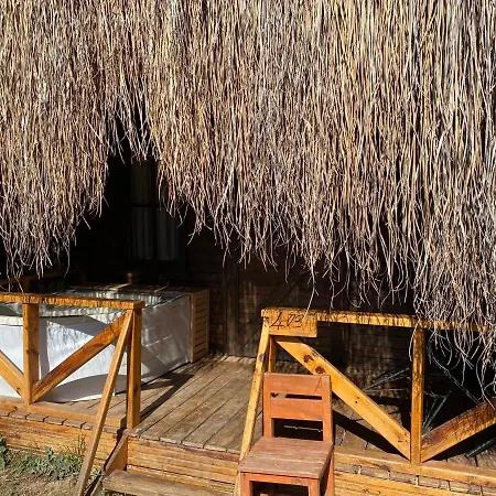 Pine & Luxury Concept 酒店