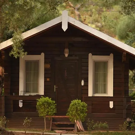Pine & Luxury Concept Otel Ölüdeniz