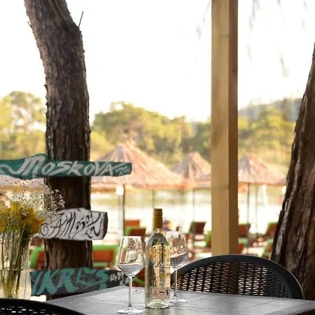 Otel Pine & Luxury Concept