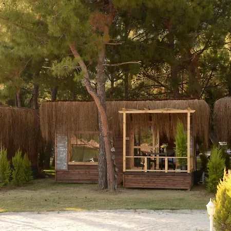 Otel Pine & Luxury Concept *
