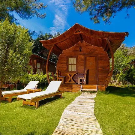 Pine & Luxury Concept *