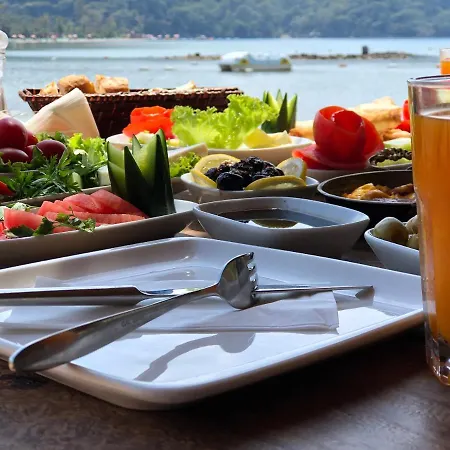 Pine & Luxury Concept 호텔 *