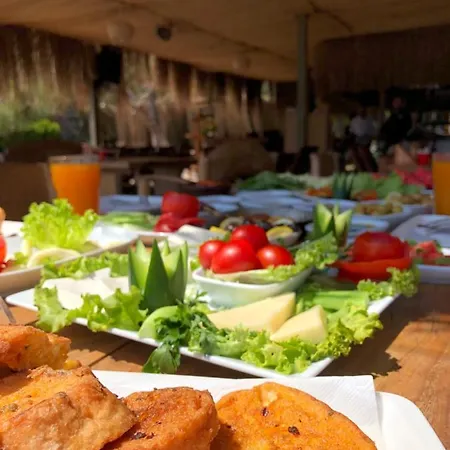 호텔 Pine & Luxury Concept *