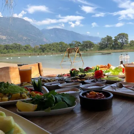 Pine & Luxury Concept * 올루데니스