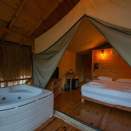 Pine & Luxury Concept