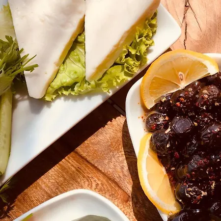 Pine & Luxury Concept 올루데니스