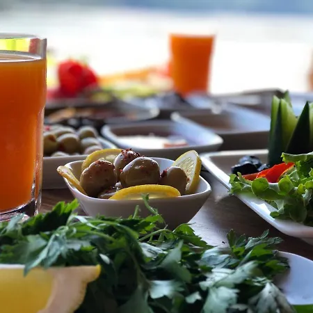 Pine & Luxury Concept 호텔 *