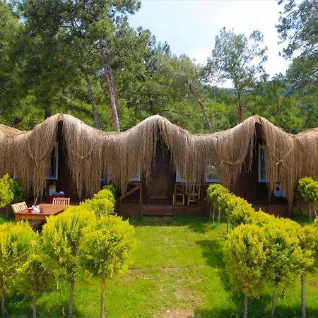 Pine & Luxury Concept Ölüdeniz