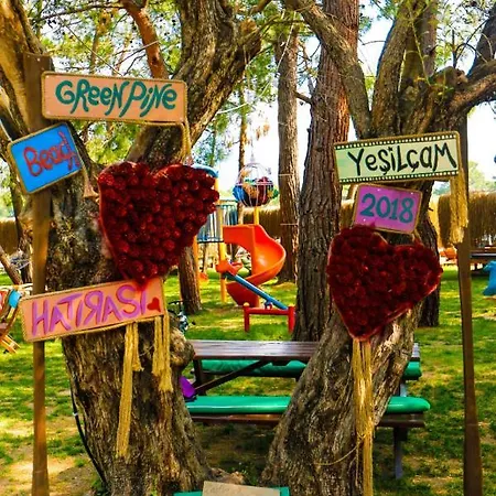 Pine & Luxury Concept 호텔 *