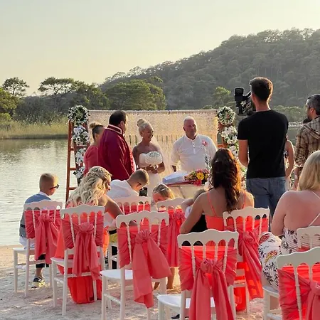 Pine & Luxury Concept * 올루데니스