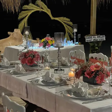 Pine & Luxury Concept *