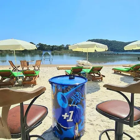 Pine & Luxury Concept