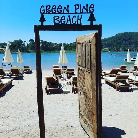 호텔 Pine & Luxury Concept