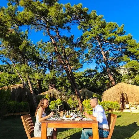 Pine & Luxury Concept * 올루데니스