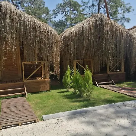 Pine & Luxury Concept Hotel