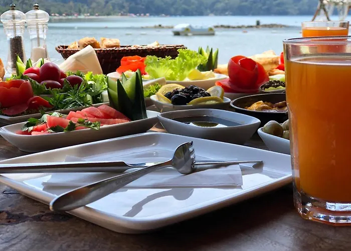 Pine & Luxury Concept מלון *