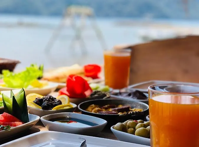 Hotel Pine & Luxury Concept