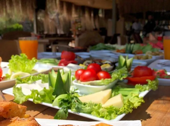 מלון Pine & Luxury Concept *