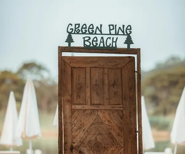 Pine & Luxury Concept