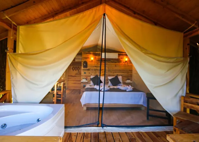 מלון Pine & Luxury Concept