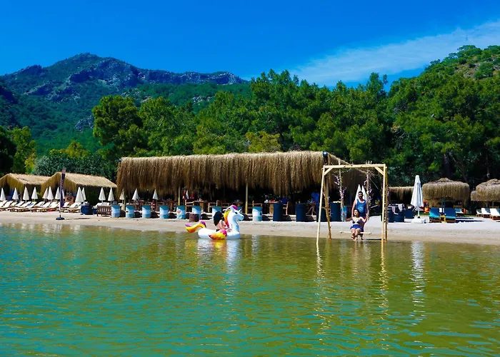 Pine & Luxury Concept מלון *