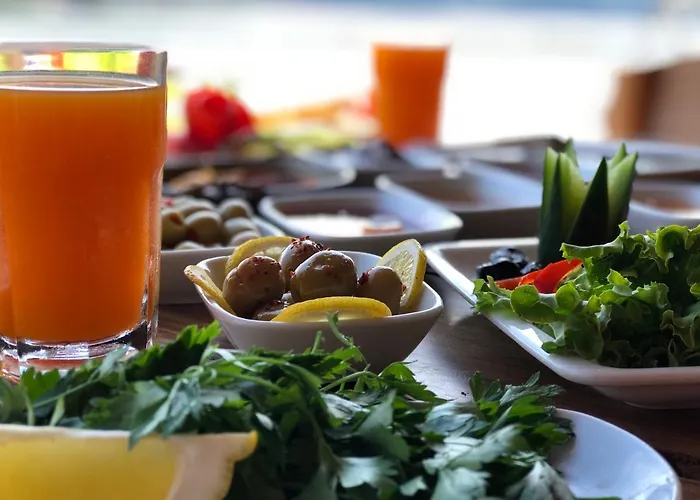 Pine & Luxury Concept מלון *