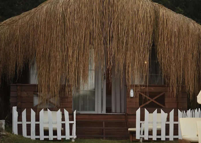 Hotel Pine & Luxury Concept