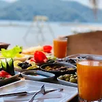Hotel Pine & Luxury Concept