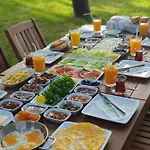 Pine & Luxury Concept Oludeniz