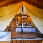 Hotel Pine & Luxury Concept
