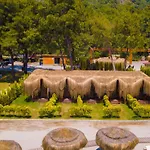 Hotel Pine & Luxury Concept