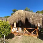 Pine & Luxury Concept Oludeniz