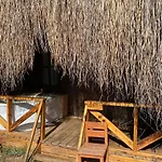 Pine & Luxury Concept Hotel
